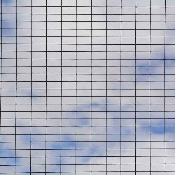 Tildenet 50mm PVC Coatted Weld Mesh Panel 0.6x0.9m