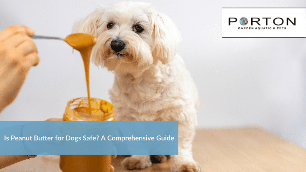 Peanut butter safe for dogs uk sale