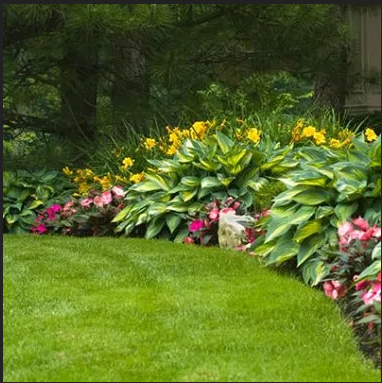 Lawn Care