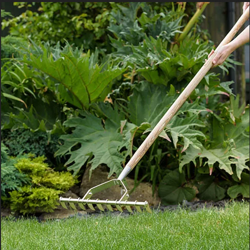 Lawn Care 30 Lawn Care