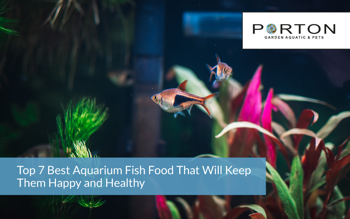 Top 7 Best Aquarium fish food That Will Keep Them Happy and Healthy